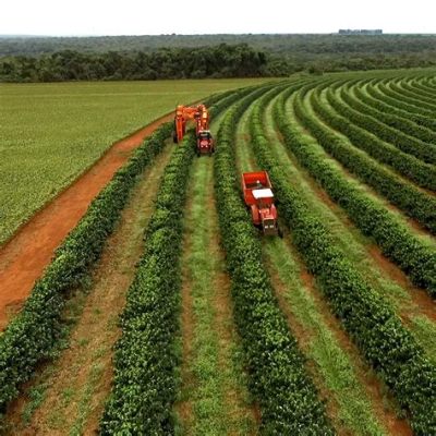  Herança da Terra: Um Retrato Vibrante da Agricultura Brasileira