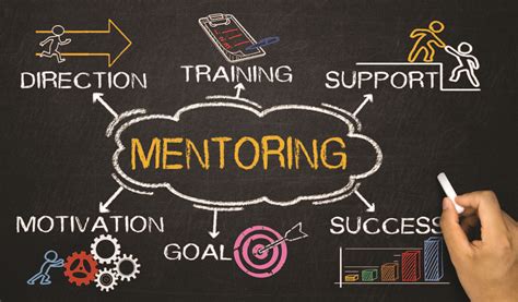  Mentoring Your Career: Practical Insights for Achieving Success – A Masterclass Disguised as a Guidebook